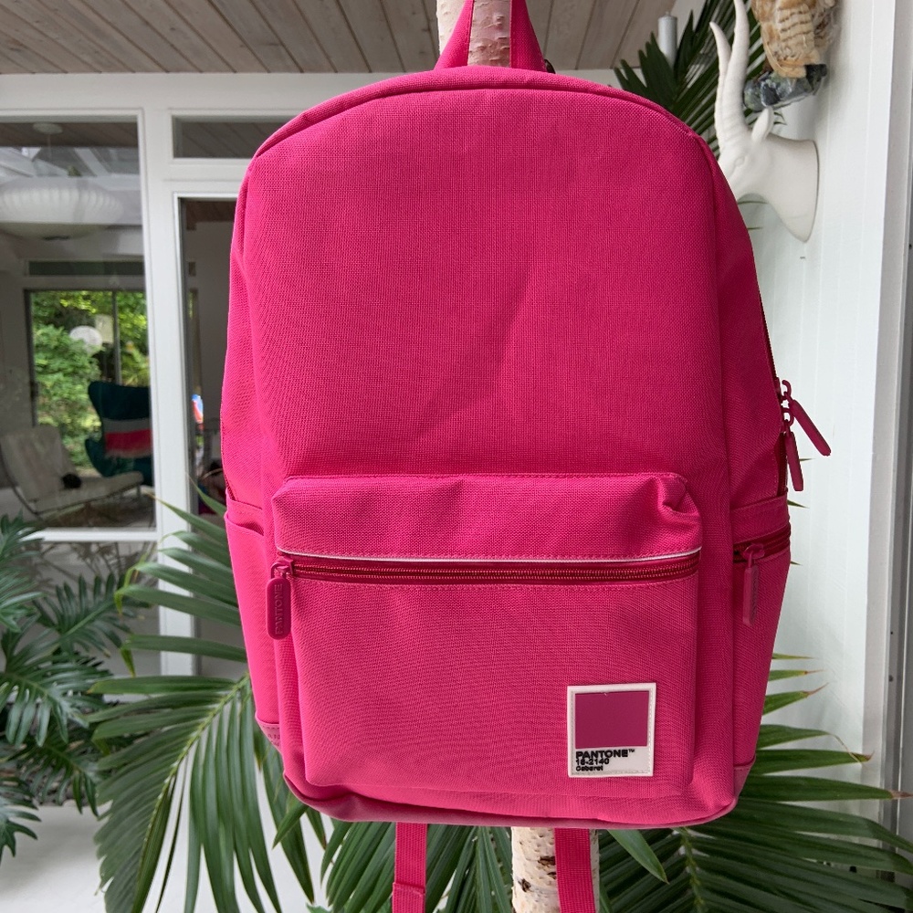 Pantone Backpack